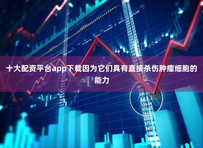 十大配资平台app下载因为它们具有直接杀伤肿瘤细胞的能力