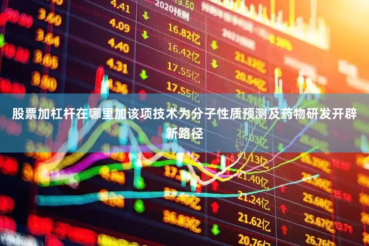 股票加杠杆在哪里加该项技术为分子性质预测及药物研发开辟新路径